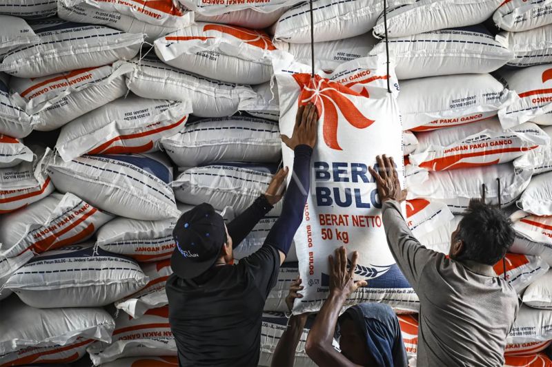 Cadangan Beras Bulog Tembus 4 Juta Ton, Mentan: Terima Kasih Petani Indonesia!