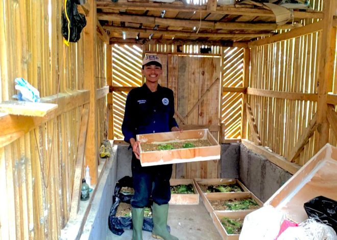 Sampah Bukan Musibah, Maggot Bawa Berkah. Mahasiswa KKN ITG Teknik Industri Pelopori Sistem Pengolahan Sampah Organik dengan Maggot Di Desa Sirnagalih.