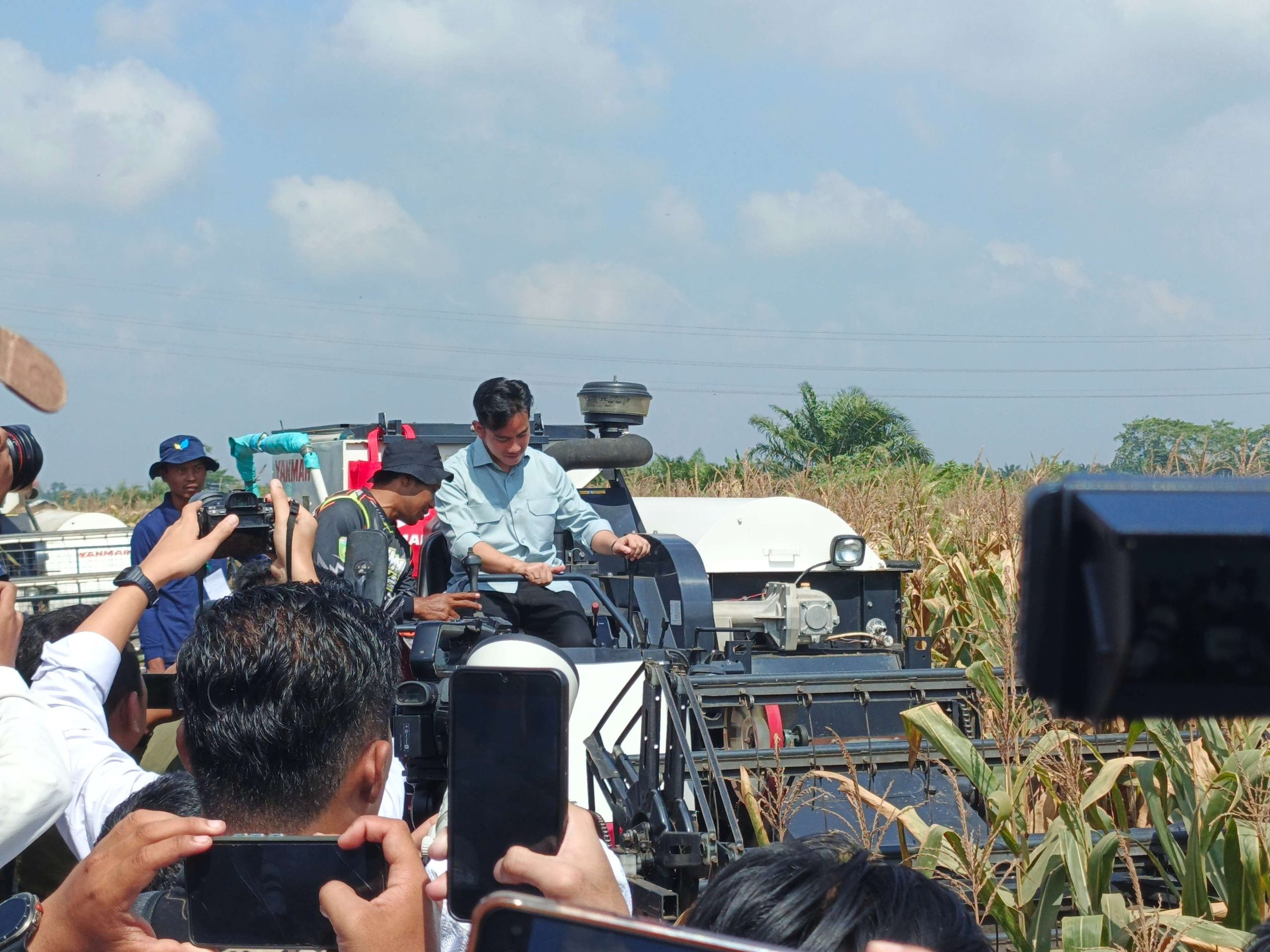 Wapres Gibran Hadiri Panen Raya Jagung Banyuasin, Dorong Ketahanan Pangan Nasional