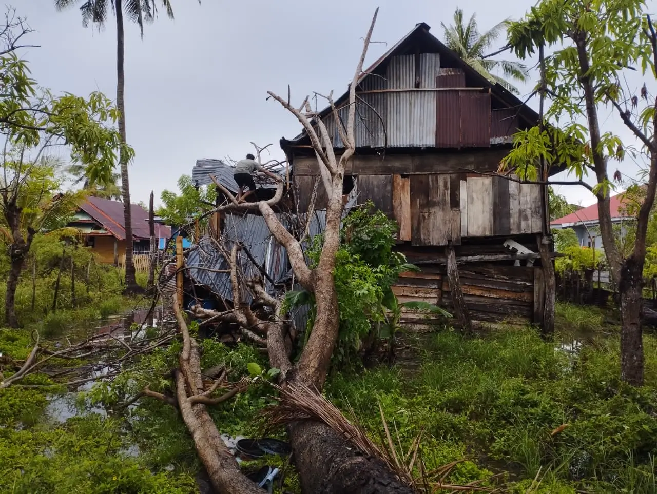 Perkembangan Situasi dan Penanganan Bencana di Tanah Air per 25 November 2025