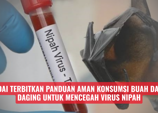 IDAI Terbitkan Panduan Aman Konsumsi Buah dan Daging untuk Mencegah Virus Nipah