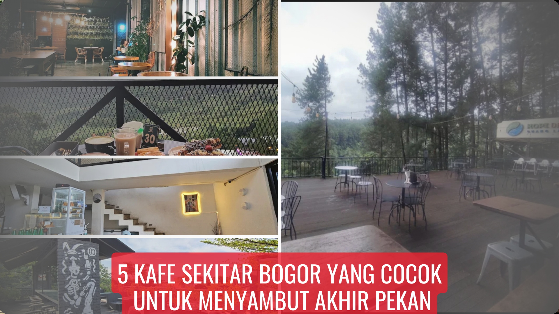 5 Kafe Sekitar Bogor yang Cocok untuk Menyambut Akhir Pekan