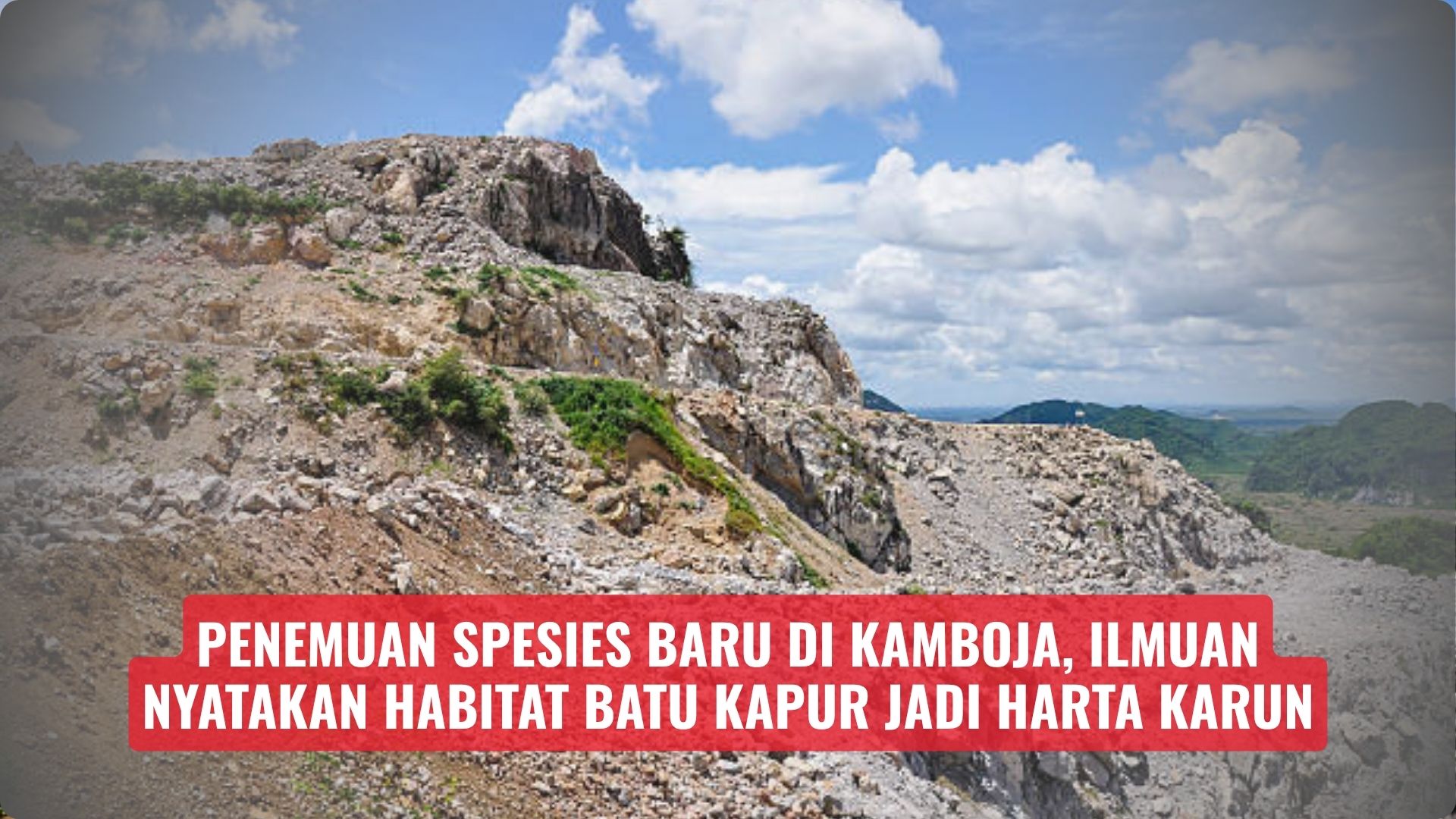 Penemuan Spesies Baru di Kamboja, Ilmuan Nyatakan Habitat Batu Kapur Jadi Harta Karun