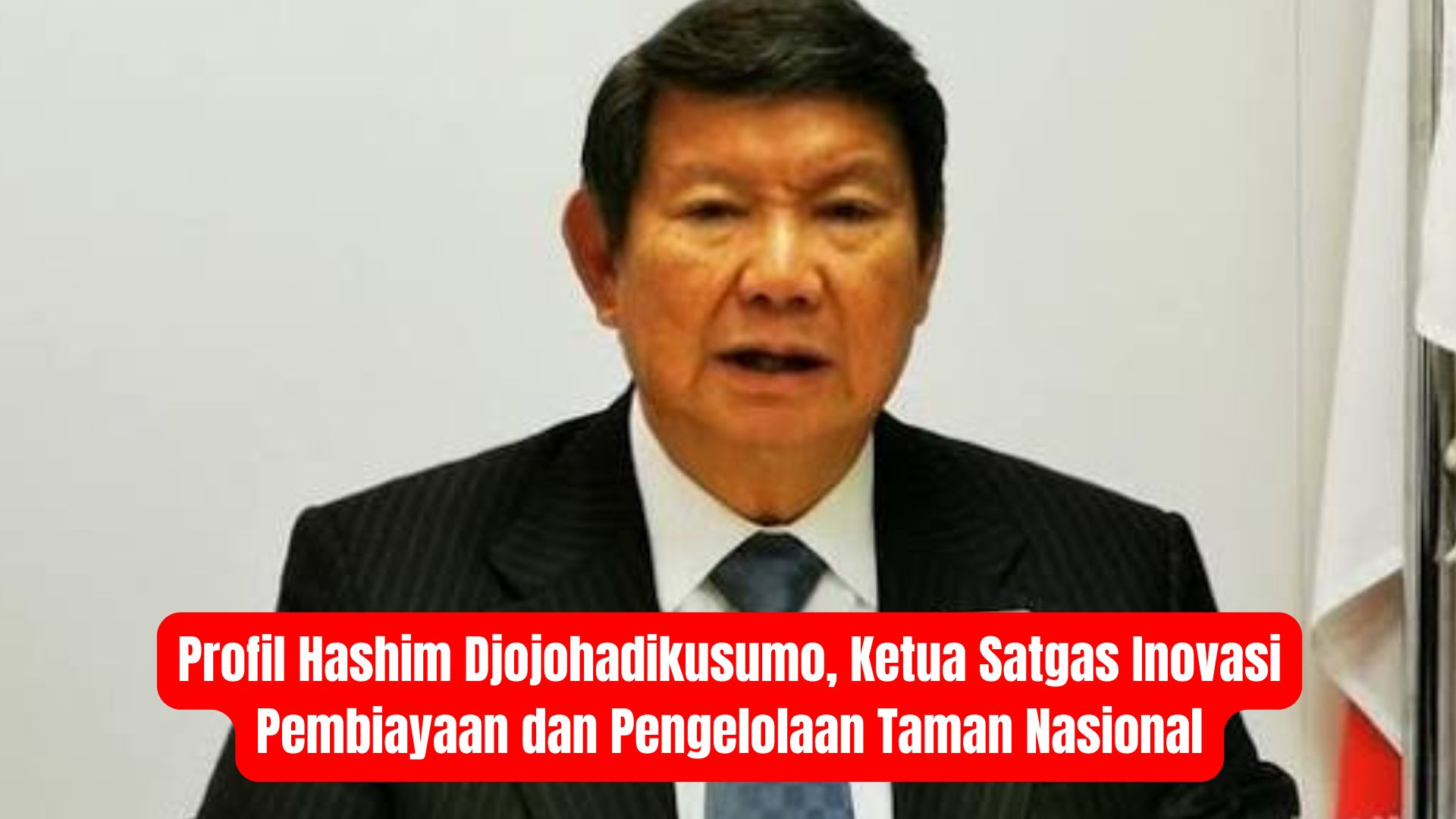 Profile Hashim Djojohadikusumo, Ketua Satgas Inovasi Pembiayaan dan Pengelolaan Taman Nasional