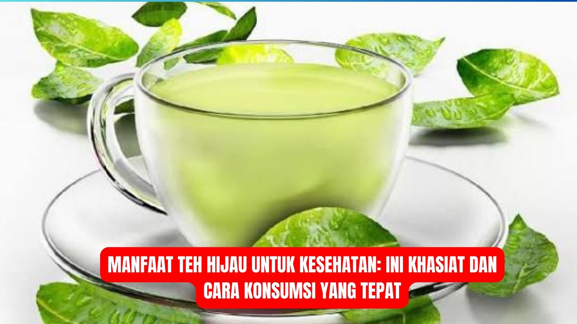 Manfaat Teh Hijau untuk Kesehatan: Ini Khasiat dan Cara Konsumsi yang Tepat