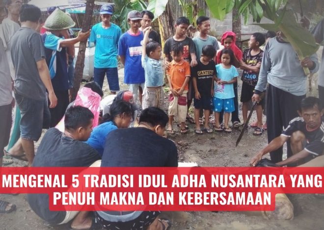 Mengenal 5 Tradisi Idul Adha Nusantara yang Penuh Makna dan Kebersamaan
