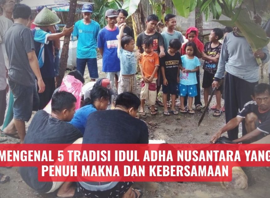 Mengenal 5 Tradisi Idul Adha Nusantara yang Penuh Makna dan Kebersamaan