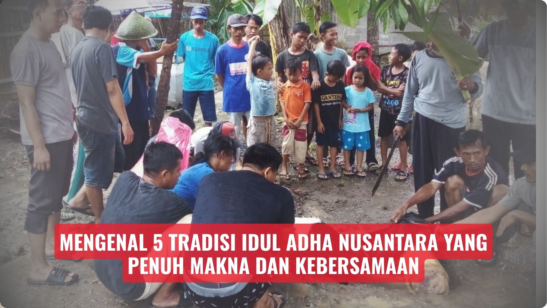 Mengenal 5 Tradisi Idul Adha Nusantara yang Penuh Makna dan Kebersamaan