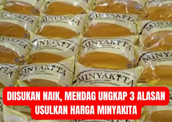 Diisukan Naik, Mendag Ungkap 3 Alasan Usulkan Harga Minyakita