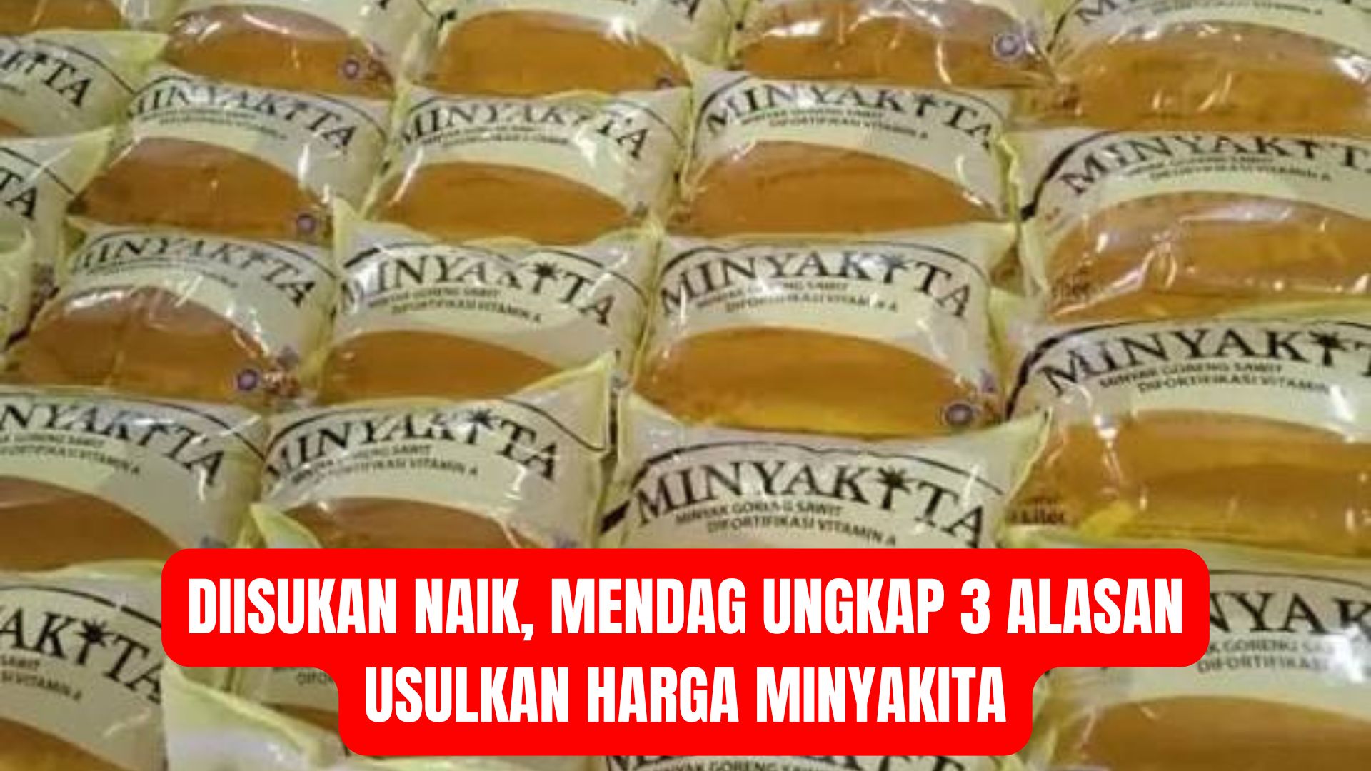 Diisukan Naik, Mendag Ungkap 3 Alasan Usulkan Harga Minyakita