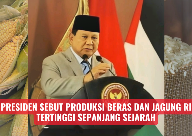 Presiden Sebut Produksi Beras dan Jagung RI Tertinggi Sepanjang Sejarah