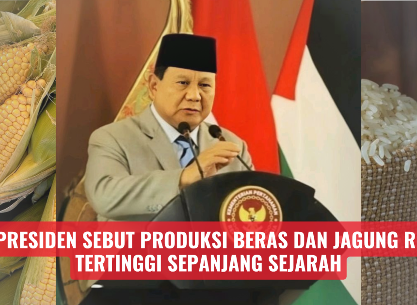 Presiden Sebut Produksi Beras dan Jagung RI Tertinggi Sepanjang Sejarah