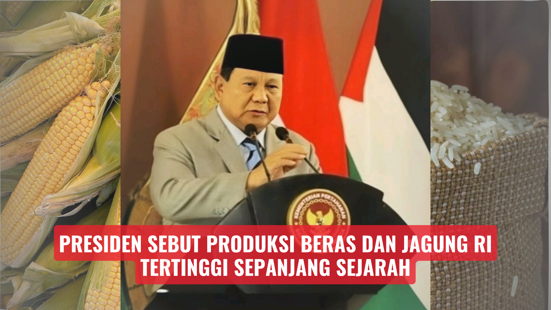 Presiden Sebut Produksi Beras dan Jagung RI Tertinggi Sepanjang Sejarah