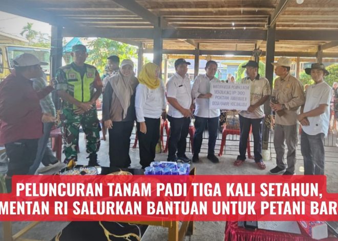 Peluncuran Tanam Padi Tiga Kali Setahun, Kementan RI Salurkan Bantuan untuk Petani Barru