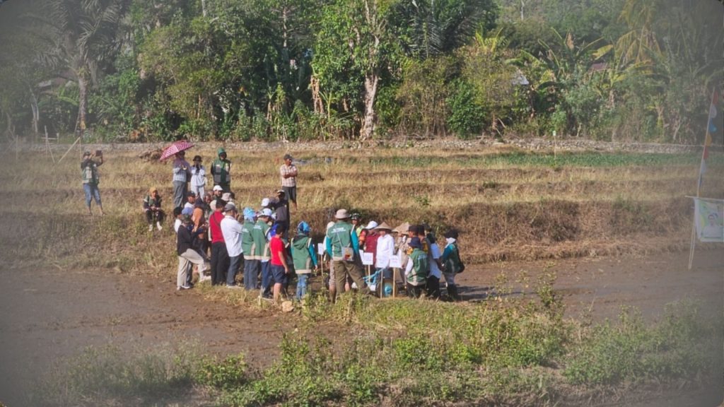 Peluncuran Tanam Padi Tiga Kali Setahun, Kementan RI Salurkan Bantuan untuk Petani Barru