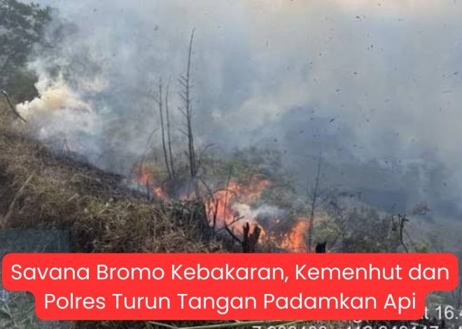 Savana Bromo Kebakaran, Kemenhut dan Polres Turun Tangan Padamkan Api